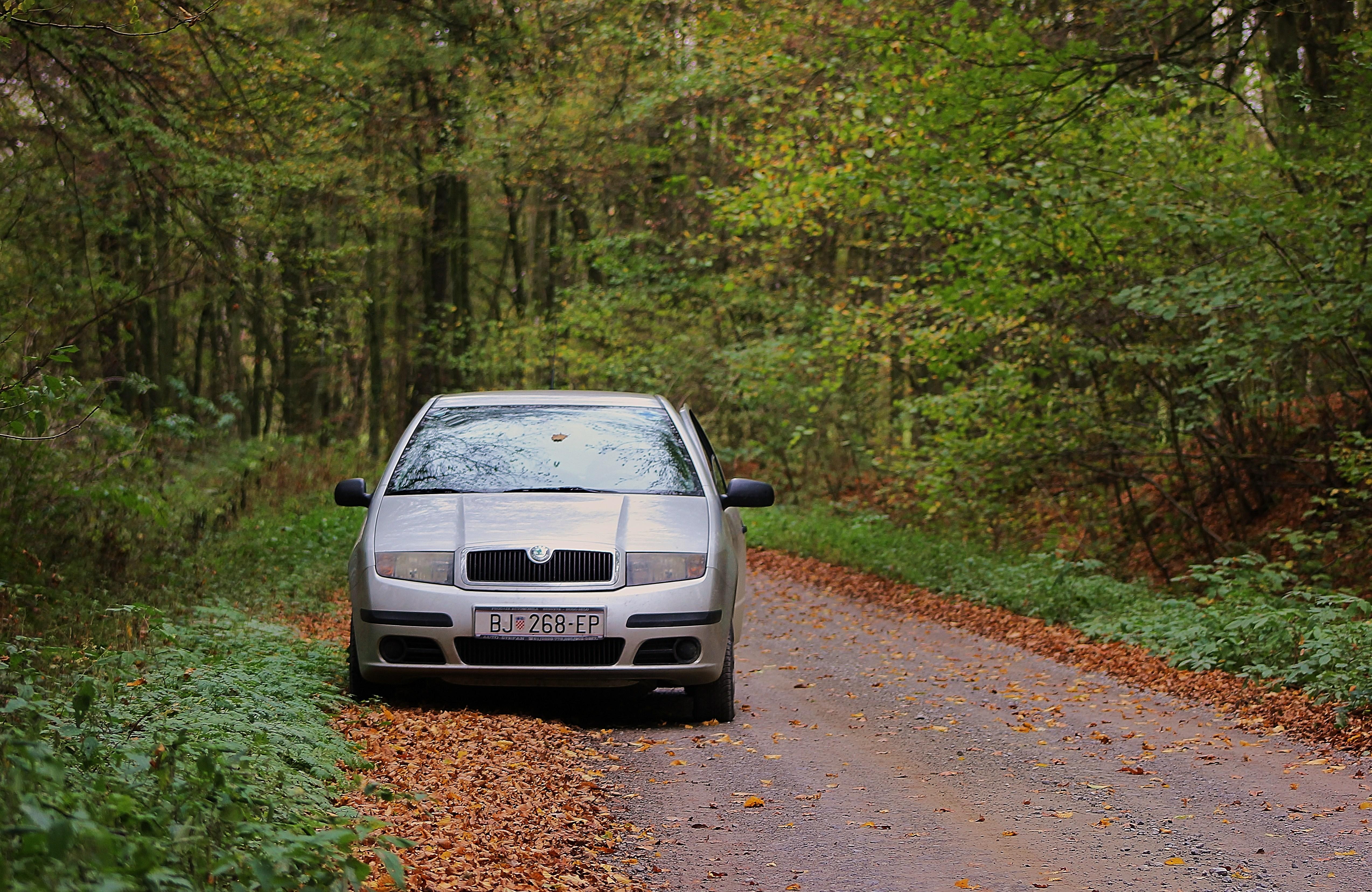 Fourth Circuit Affirms Carjacking Conviction