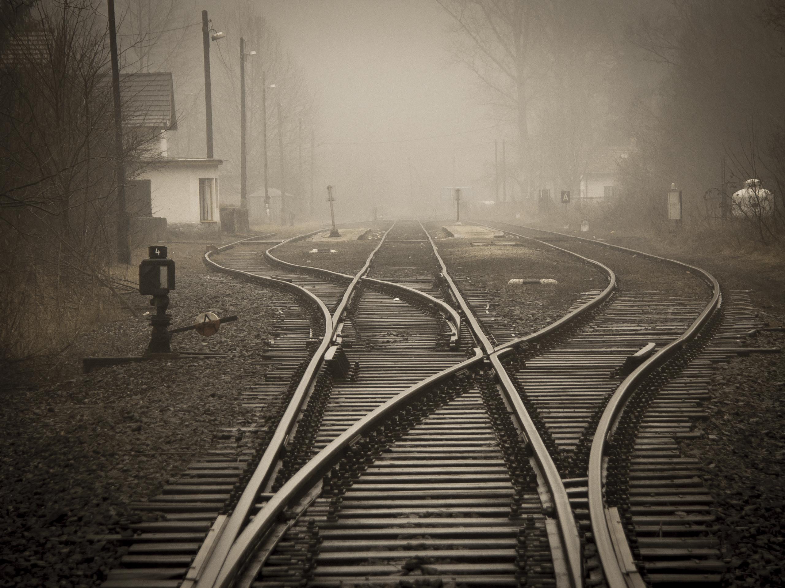 Foreseeability in Breach, Duty, and Proximate Cause