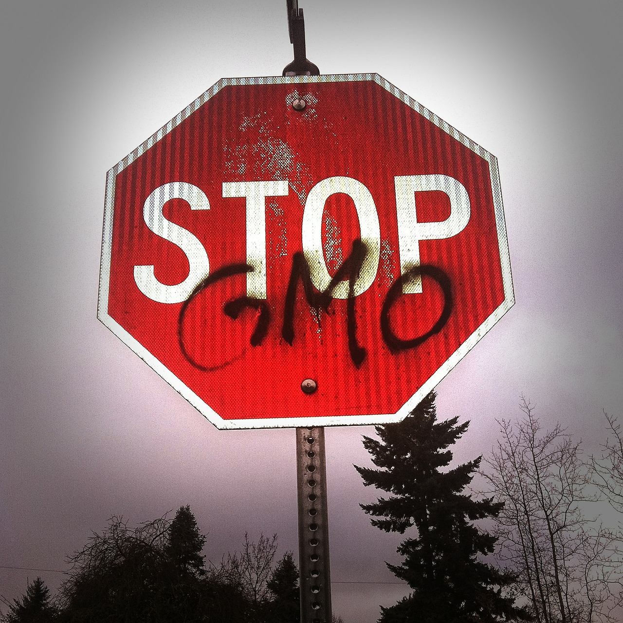 Regulating Evolution for Sale: An Evolutionary Biology Model for Regulating the Unnatural Selection of Genetically Modified Organisms
