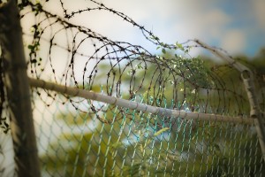 barbed-wire-600471_1920