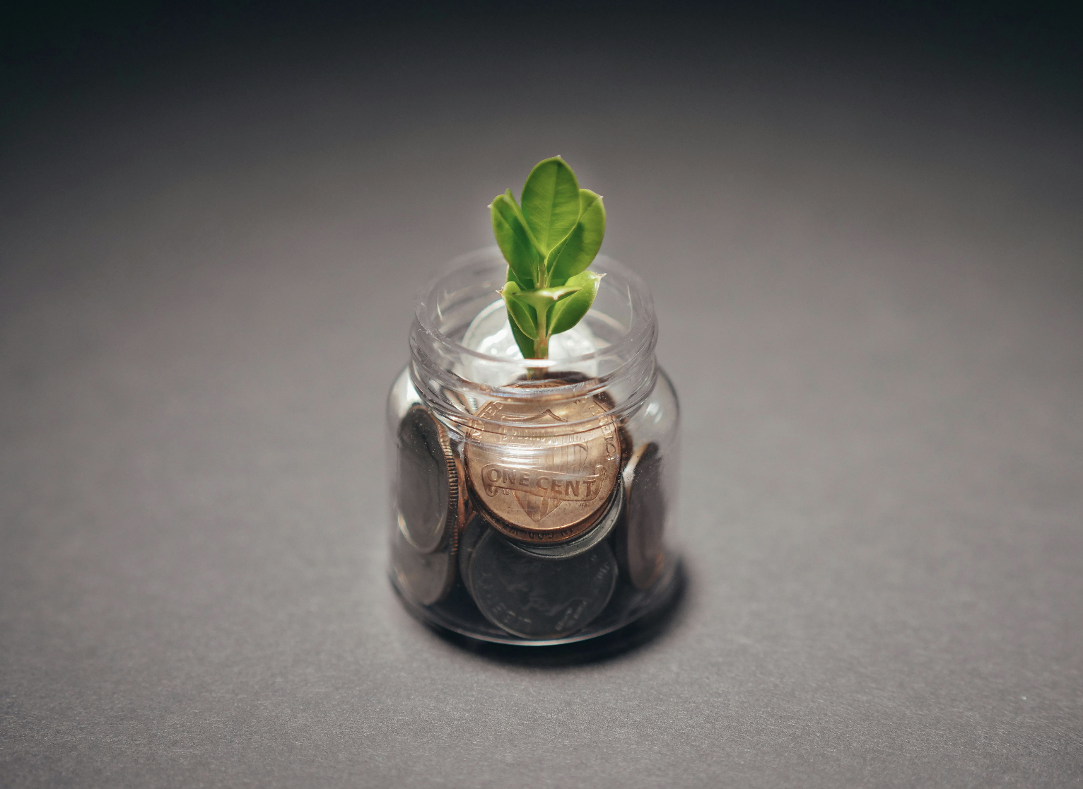 Five Heads are Better Than One: North Carolina’s 2025 Investment Modernization Act